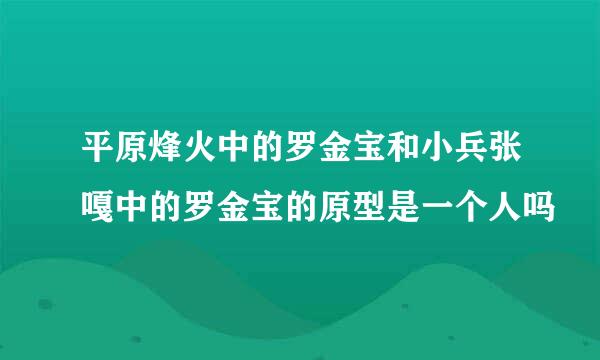 平原烽火中的罗金宝和小兵张嘎中的罗金宝的原型是一个人吗