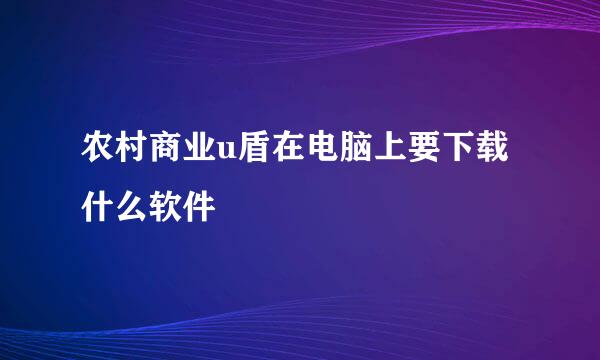 农村商业u盾在电脑上要下载什么软件