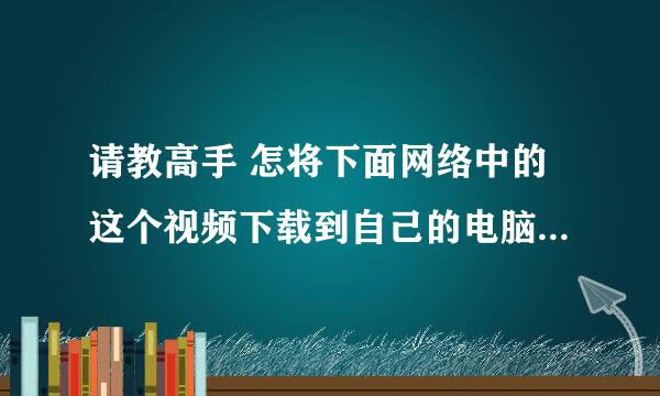 请教高手 怎将下面网络中的这个视频下载到自己的电脑中或者怎样获取这个视频网址的合法链接 急 急 急！！