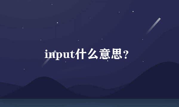 input什么意思？