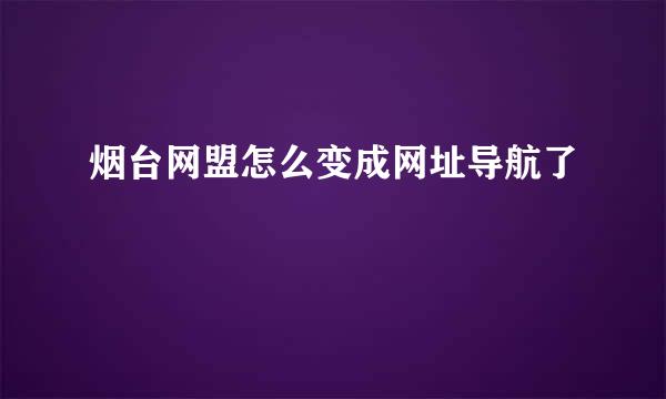 烟台网盟怎么变成网址导航了