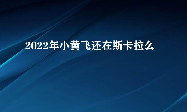 2022年小黄飞还在斯卡拉么