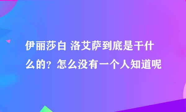 伊丽莎白 洛艾萨到底是干什么的？怎么没有一个人知道呢