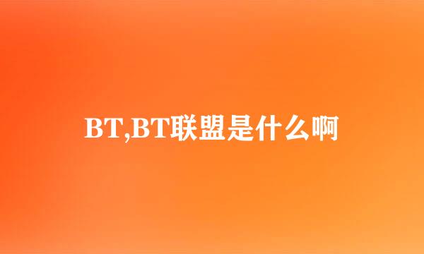 BT,BT联盟是什么啊