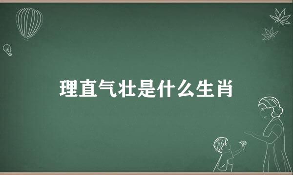 理直气壮是什么生肖