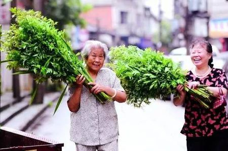 端午节由来是什么？