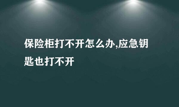 保险柜打不开怎么办,应急钥匙也打不开