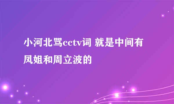 小河北骂cctv词 就是中间有凤姐和周立波的