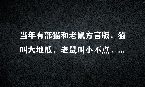 当年有部猫和老鼠方言版，猫叫大地瓜，老鼠叫小不点。这个是什么版本？