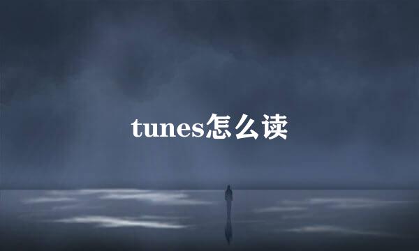 tunes怎么读