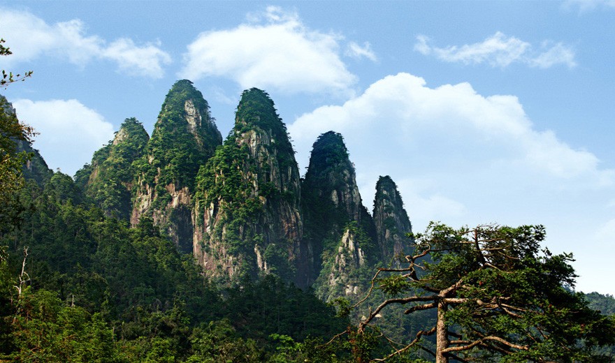 小鸡宝宝考考你,旅游名山五指山位于我国哪个省