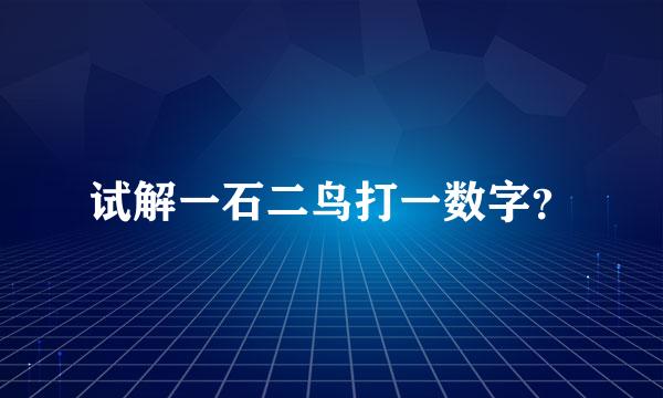 试解一石二鸟打一数字？