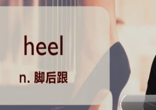 heel是什么意思