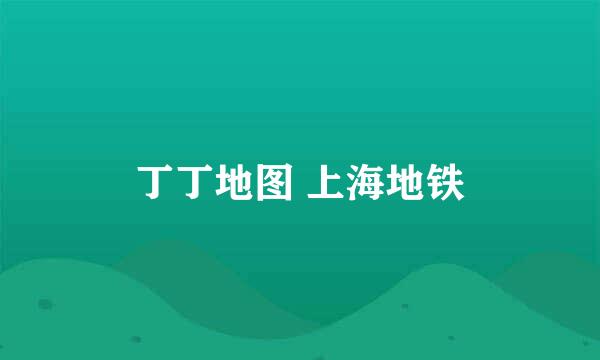 丁丁地图 上海地铁