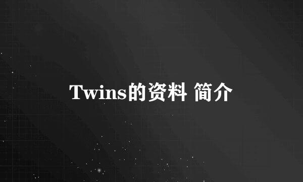 Twins的资料 简介