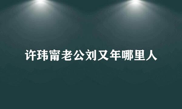 许玮甯老公刘又年哪里人