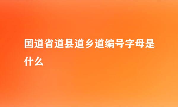 国道省道县道乡道编号字母是什么