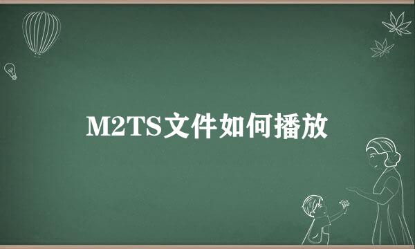 M2TS文件如何播放