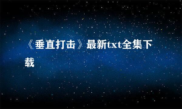 《垂直打击》最新txt全集下载