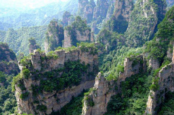 索溪峪的 野 野字什么意思