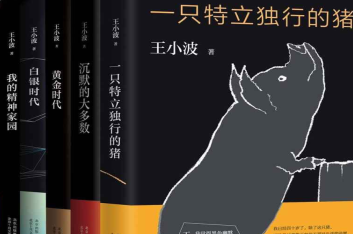 谁有 《 王小波作品大全集（15册）》电子版书籍百度网盘下载