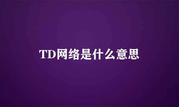 TD网络是什么意思