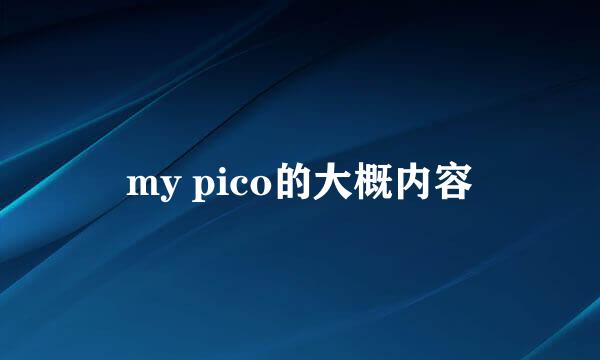 my pico的大概内容