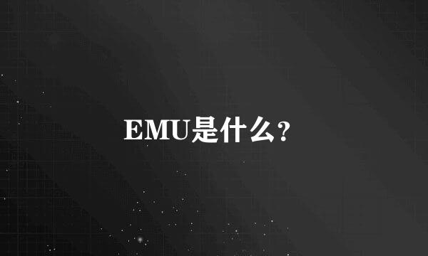 EMU是什么？