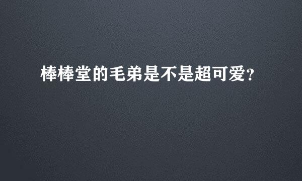 棒棒堂的毛弟是不是超可爱？