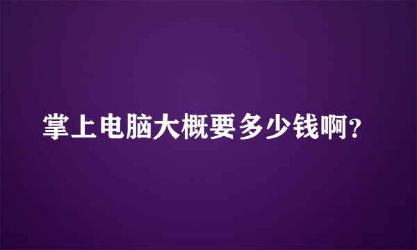 掌上电脑大概要多少钱啊？