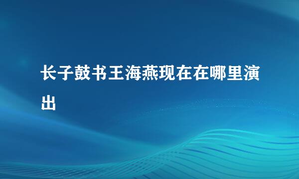 长子鼓书王海燕现在在哪里演出