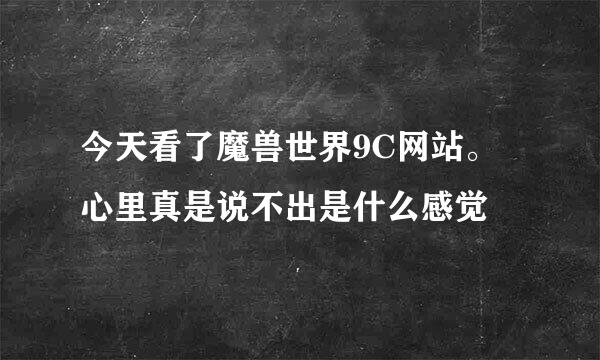 今天看了魔兽世界9C网站。心里真是说不出是什么感觉