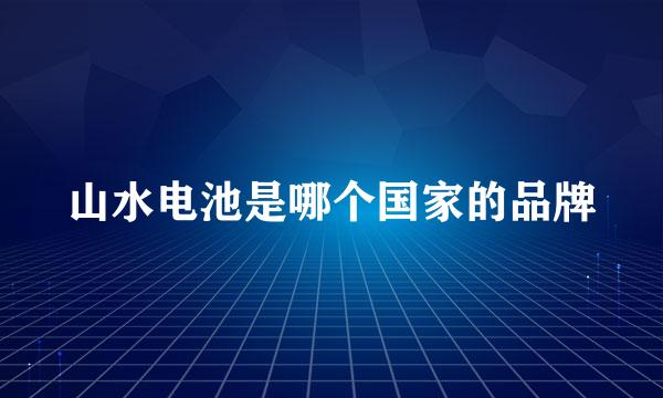 山水电池是哪个国家的品牌