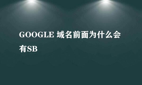 GOOGLE 域名前面为什么会有SB