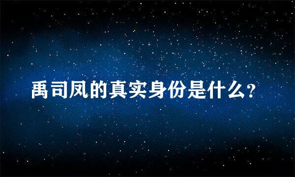 禹司凤的真实身份是什么？