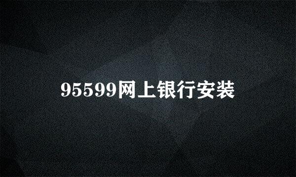 95599网上银行安装