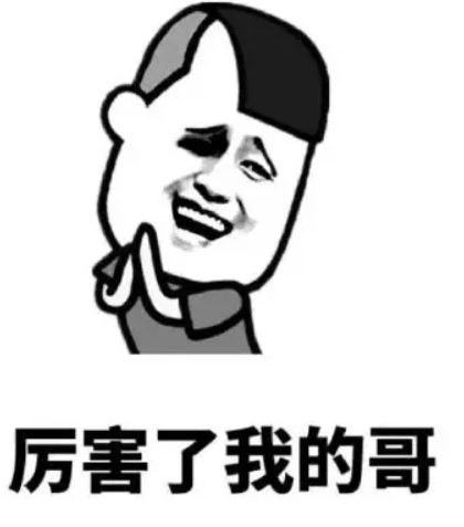 厉害了我的哥是什么梗