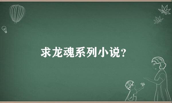 求龙魂系列小说？