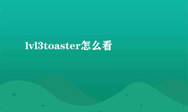 lvl3toaster怎么看