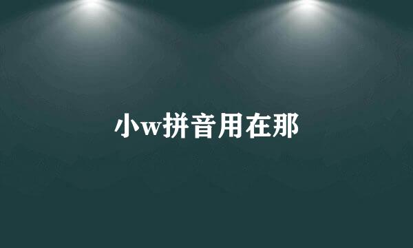 小w拼音用在那