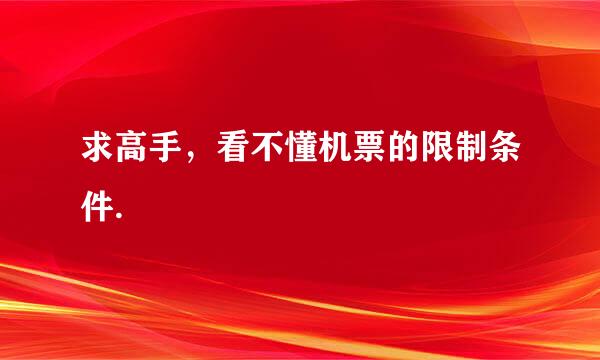 求高手，看不懂机票的限制条件.