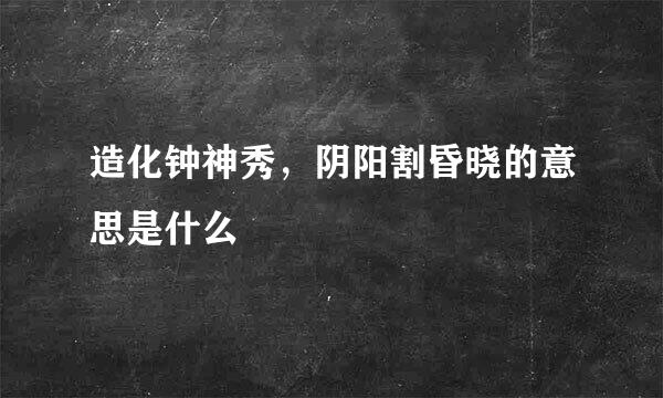 造化钟神秀，阴阳割昏晓的意思是什么