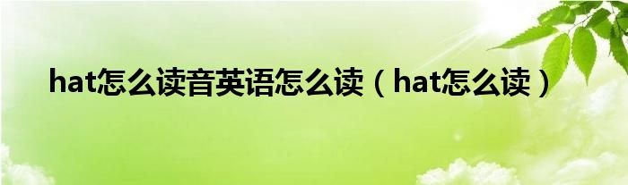 hat怎么读音标