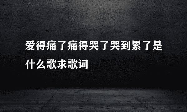 爱得痛了痛得哭了哭到累了是什么歌求歌词