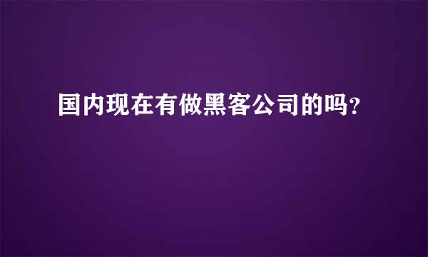 国内现在有做黑客公司的吗？