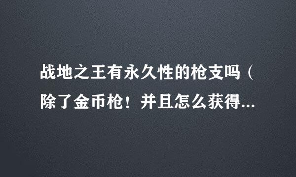 战地之王有永久性的枪支吗（除了金币枪！并且怎么获得！谢谢！）