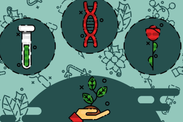 biology是什么意思