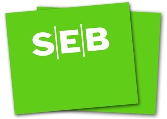 seb是什么意思