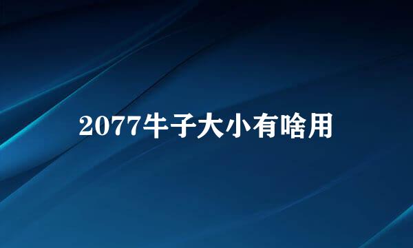 2077牛子大小有啥用