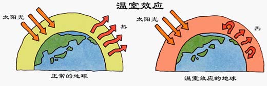 什么是温室效应，简述其产生的原因和影响